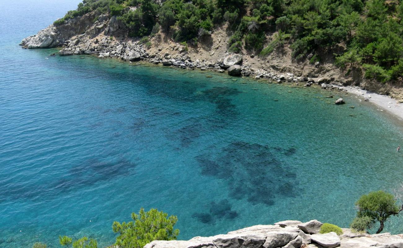Akvaryum beach II'in fotoğrafı gri çakıl taşı yüzey ile
