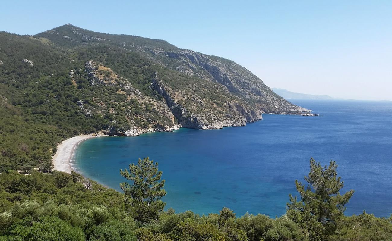 Pigbok beach'in fotoğrafı gri kum ve çakıl yüzey ile