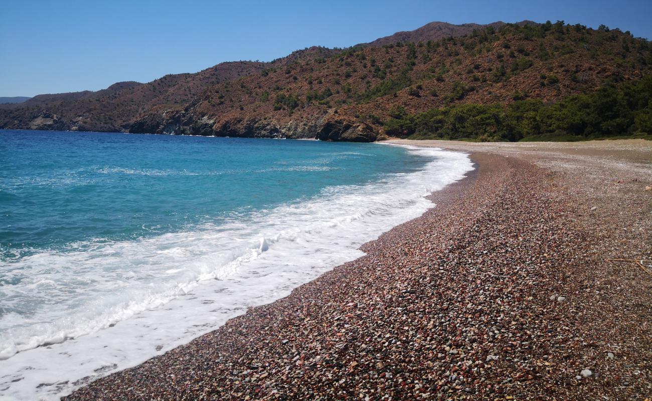 Pink Pebble Dark beach'in fotoğrafı kahverengi çakıl yüzey ile