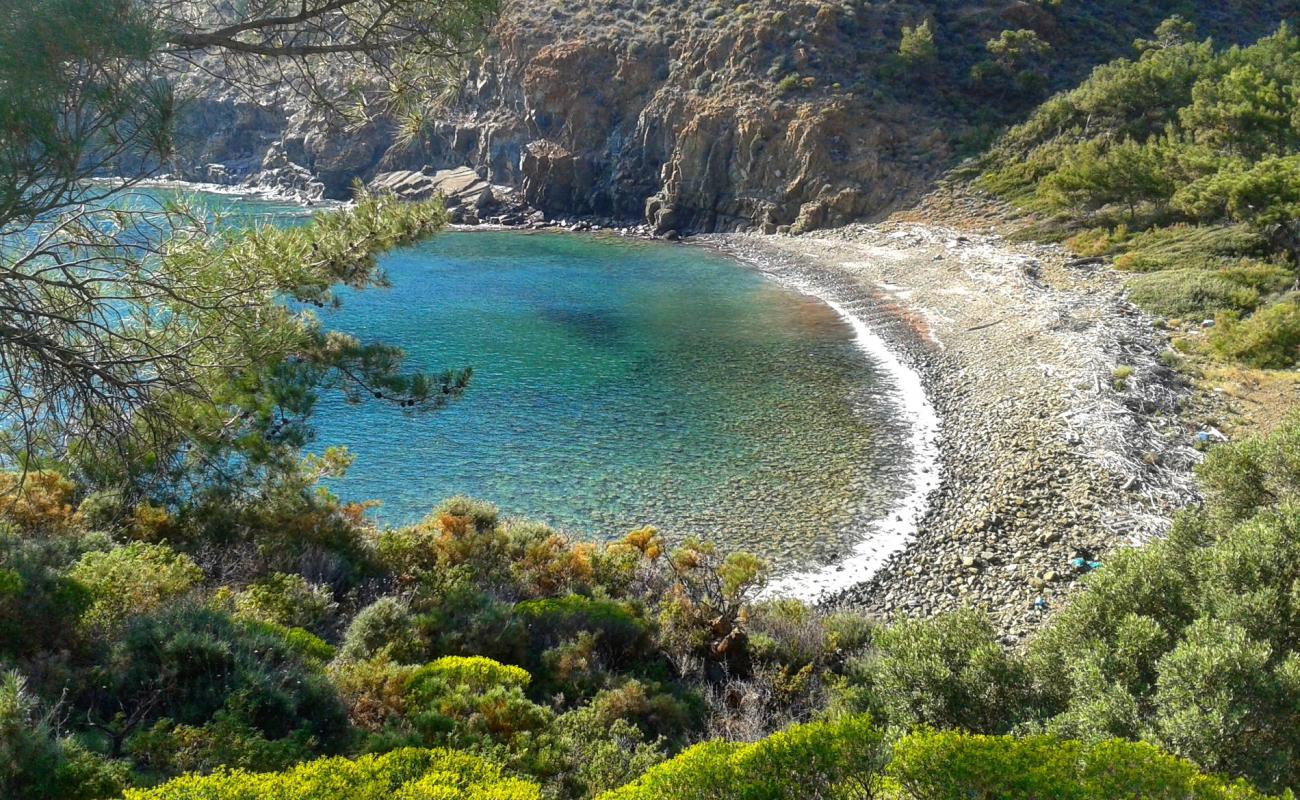 Mesudiye beach'in fotoğrafı taşlar yüzey ile