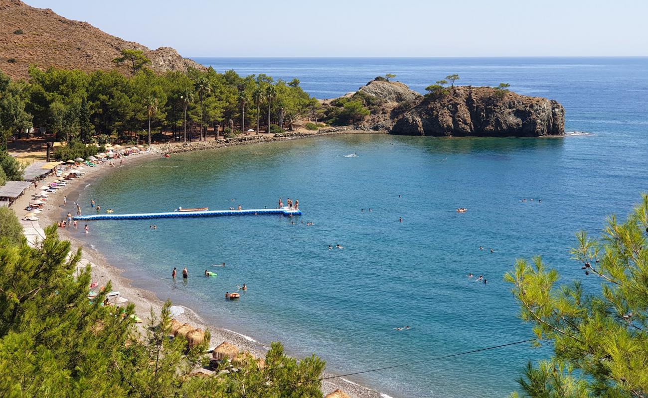 Red Bend beach'in fotoğrafı küçük gri çakıllar yüzey ile