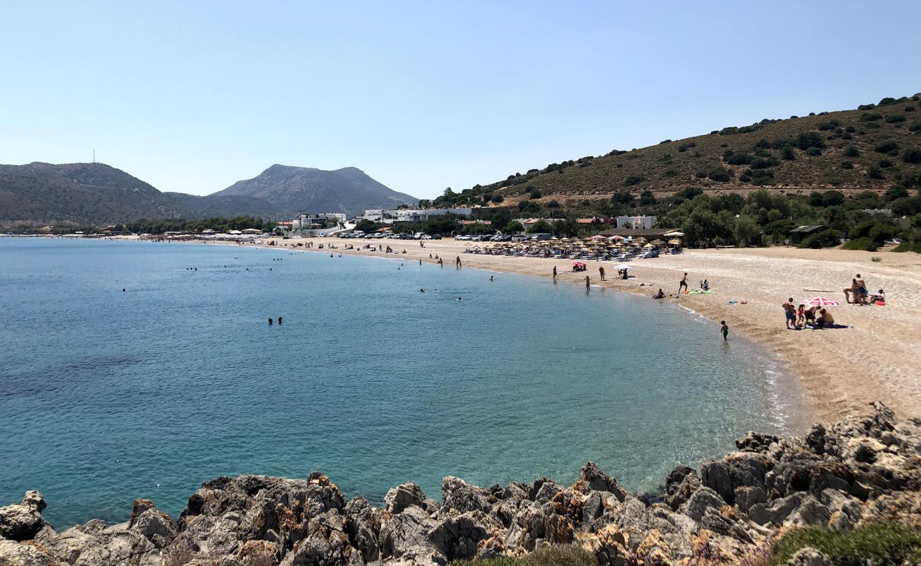 Palamutbükü Plajı'in fotoğrafı gri çakıl taşı yüzey ile