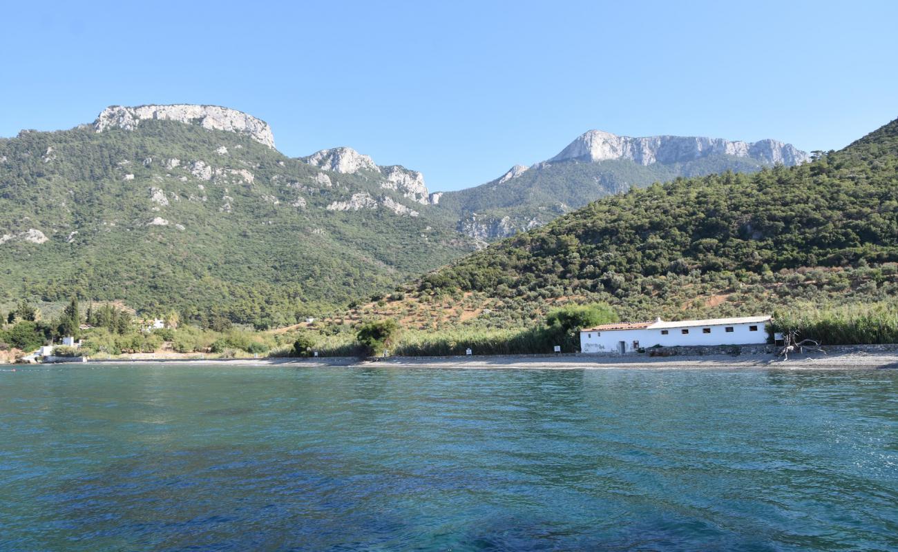 Cumalı Plajı'in fotoğrafı gri çakıl taşı yüzey ile