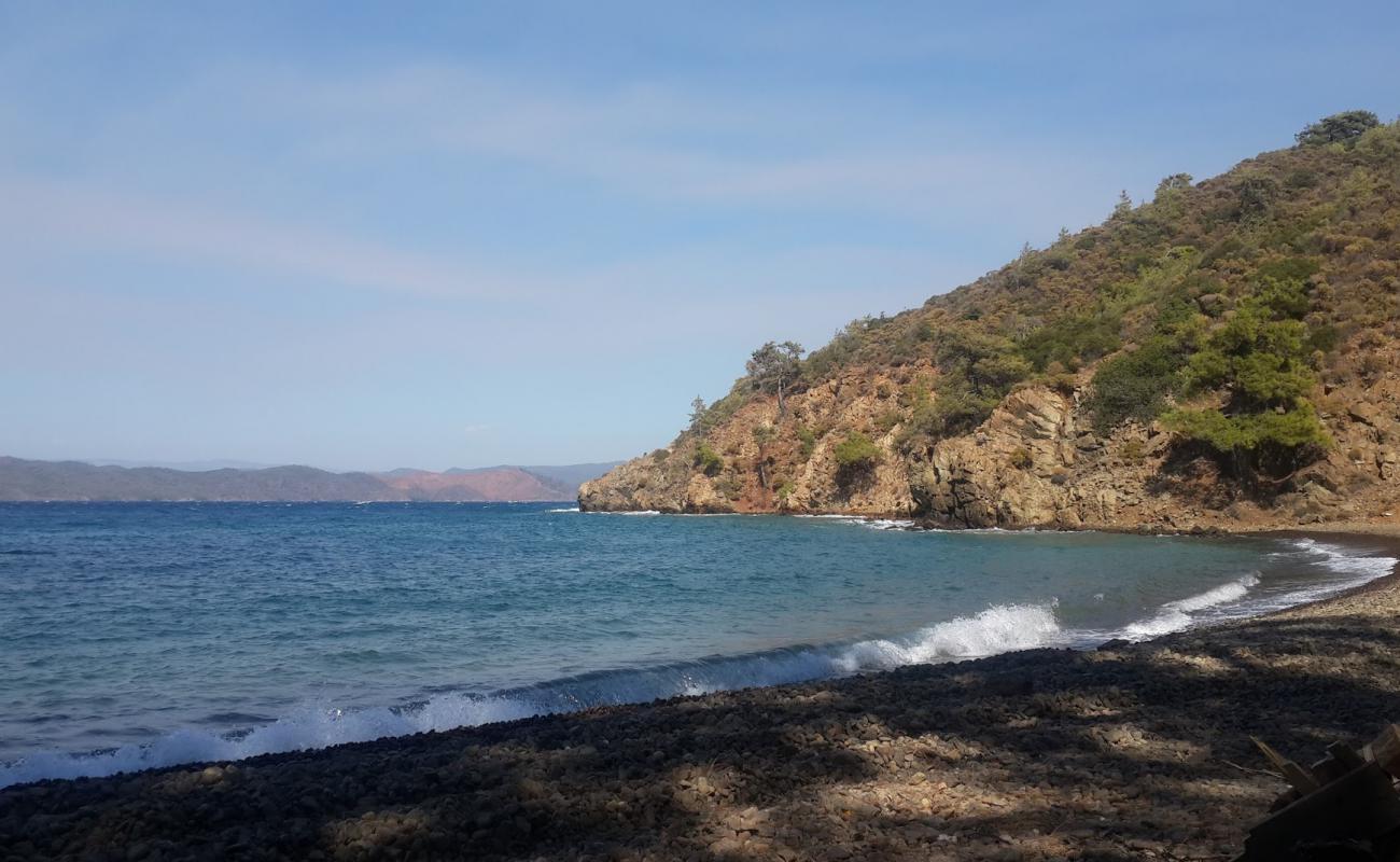 Emeсik Wild Plajı VIII'in fotoğrafı kahverengi çakıl yüzey ile