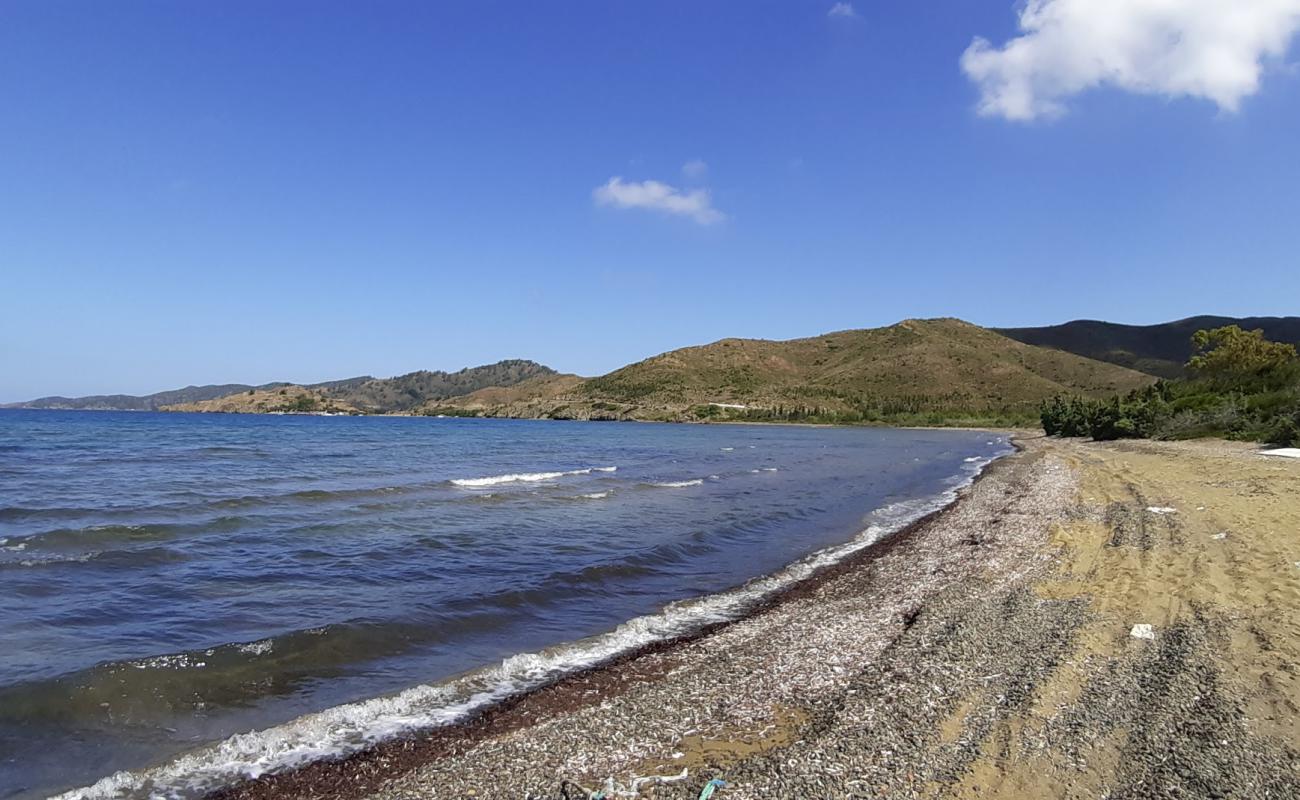 Bördübet Plajı'in fotoğrafı kahverengi kum yüzey ile