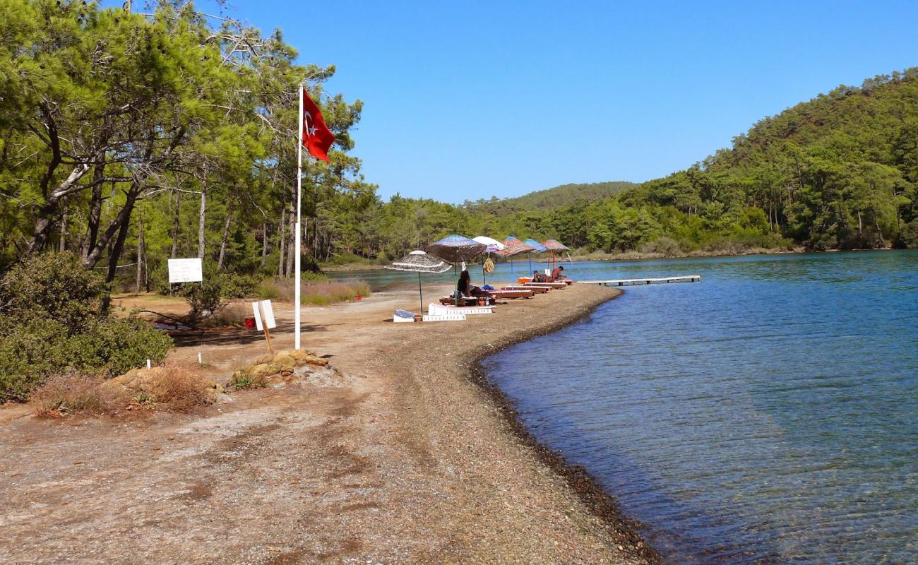 Izgim beach'in fotoğrafı çakıl ile kum yüzey ile