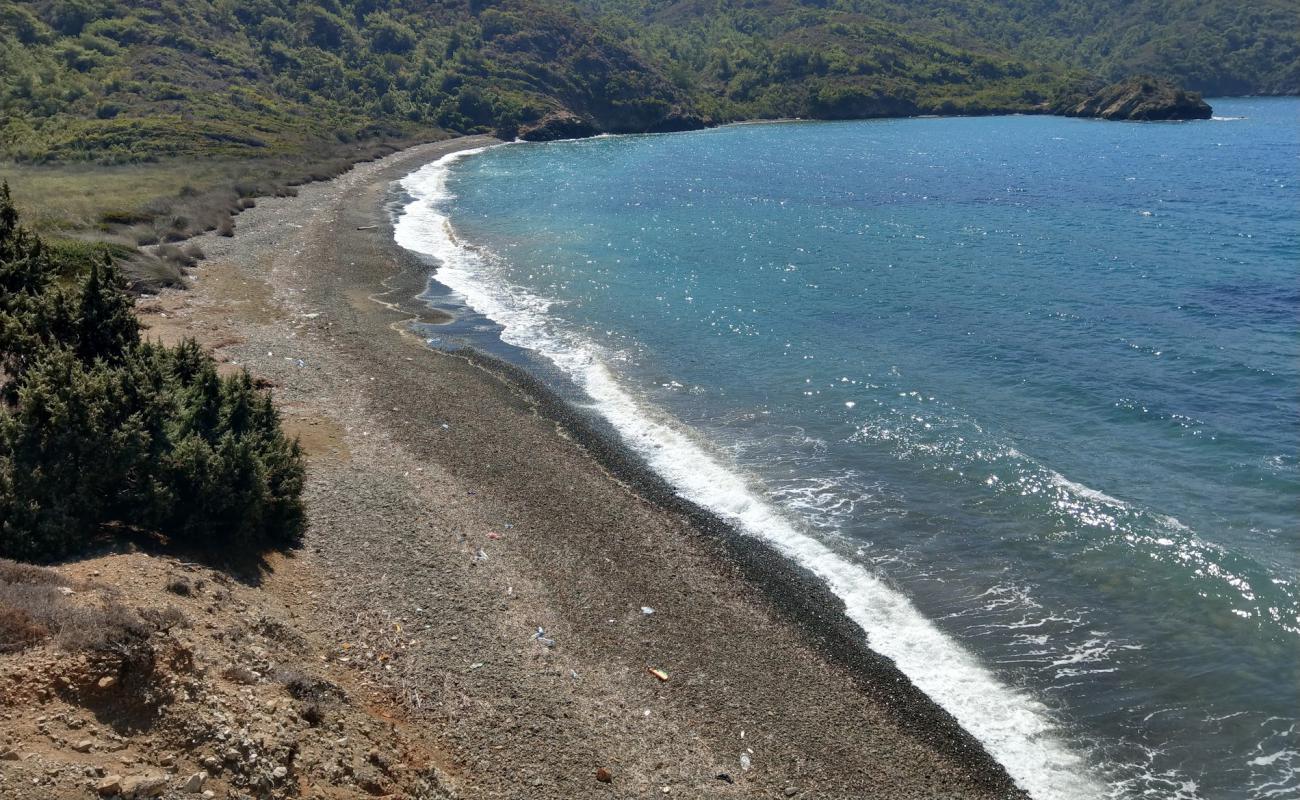 Küfre Bay Plajı IV'in fotoğrafı gri çakıl taşı yüzey ile