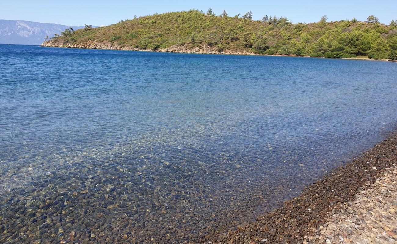 Çaçate Bay Plajı'in fotoğrafı gri çakıl taşı yüzey ile