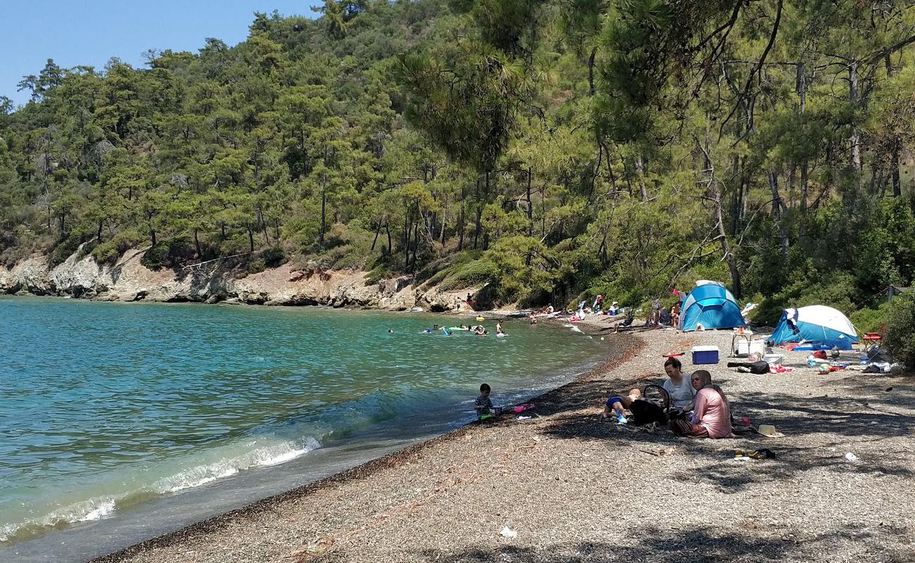 Karaca beach'in fotoğrafı gri çakıl taşı yüzey ile