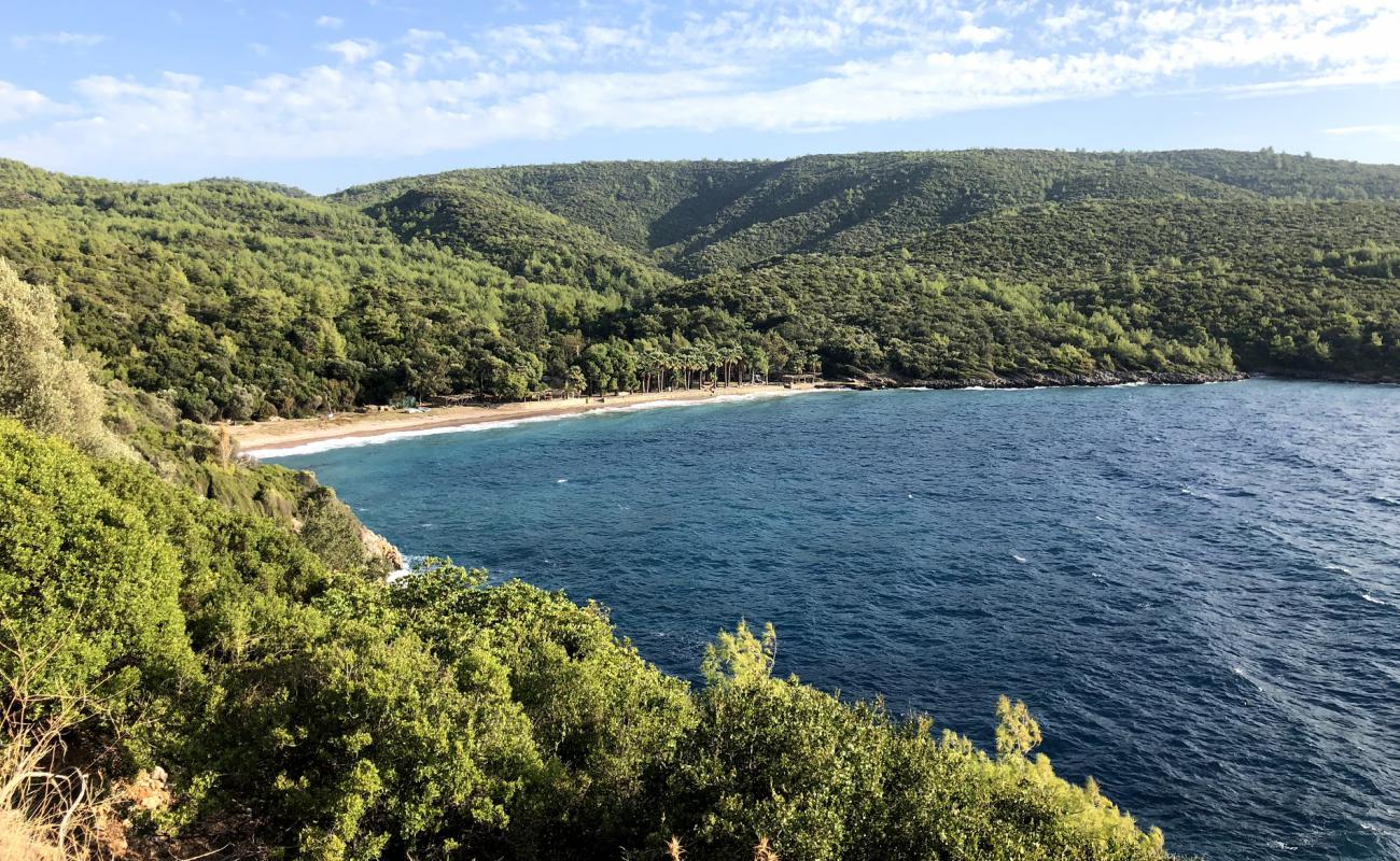 Bonjuk Bay beach'in fotoğrafı siyah kum ve çakıl yüzey ile