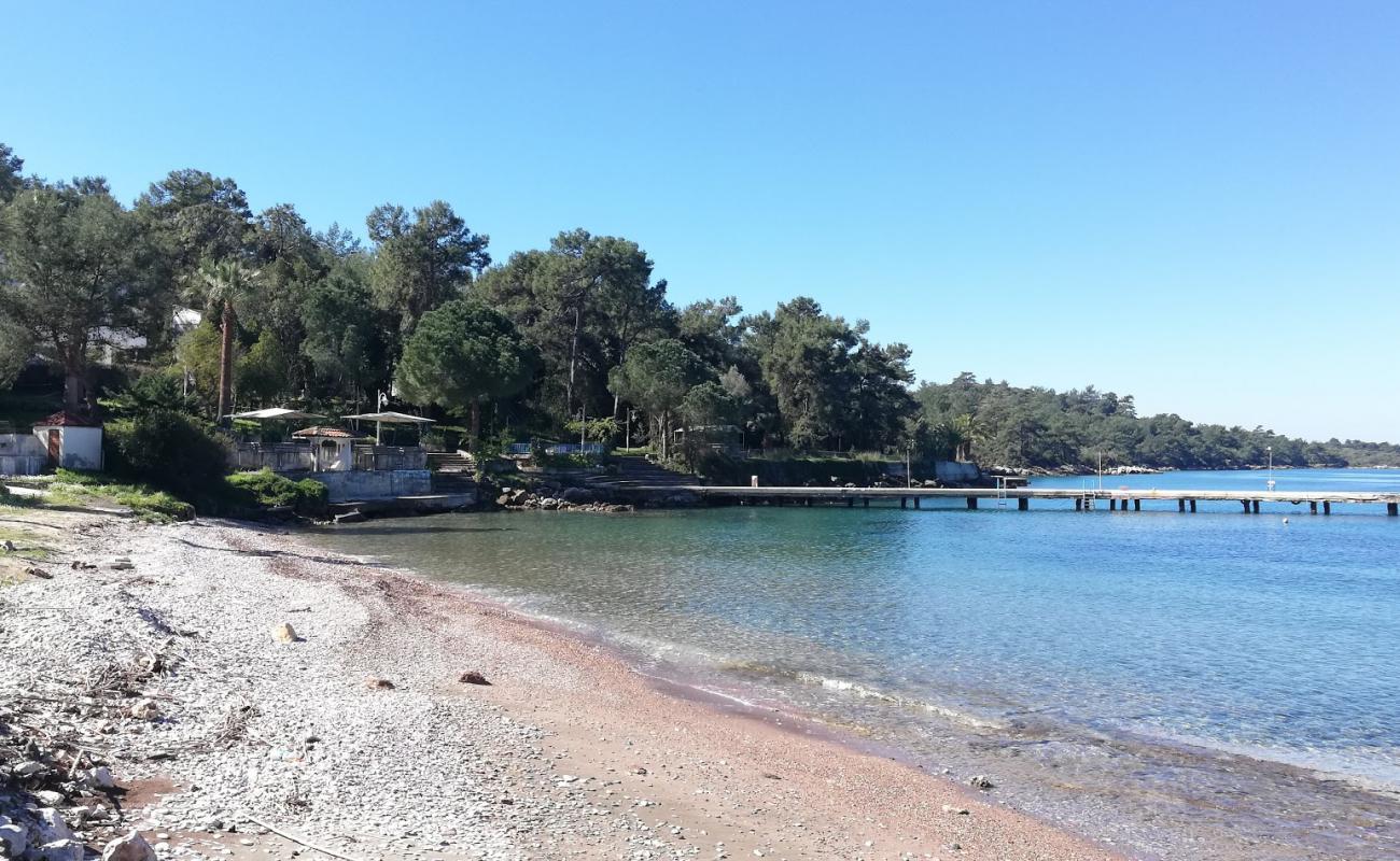 Camli Motel'in fotoğrafı gri çakıl taşı yüzey ile