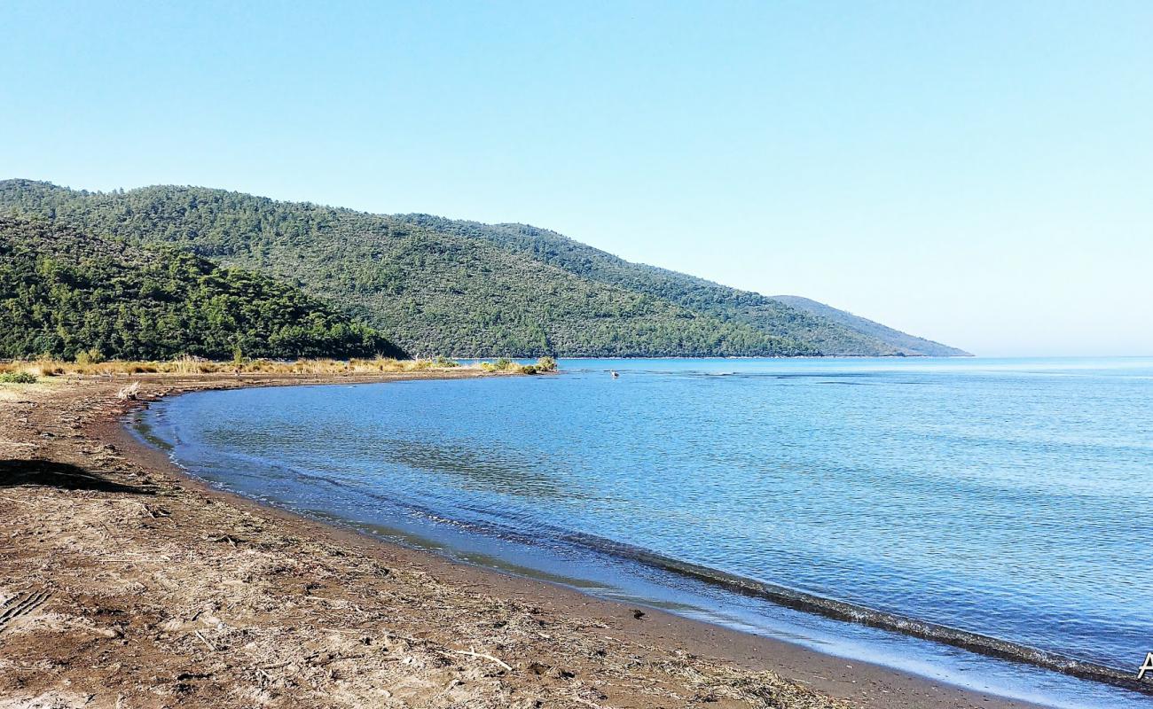 Gokce beach'in fotoğrafı kahverengi kum yüzey ile