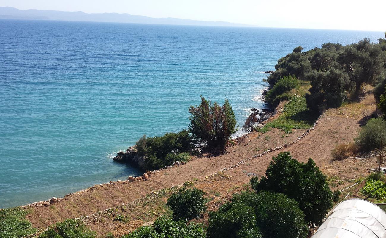 Karya beach II'in fotoğrafı gri kum ve çakıl yüzey ile