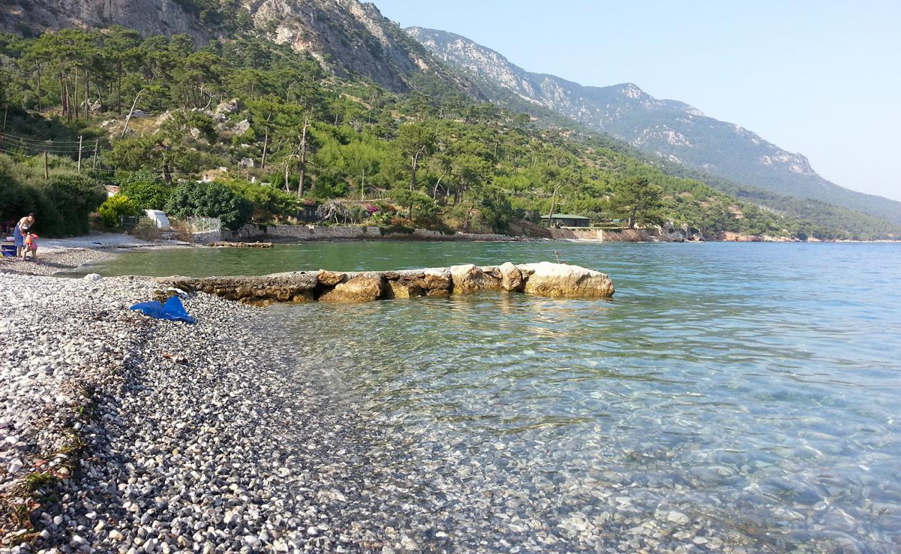 Chardak beach'in fotoğrafı gri çakıl taşı yüzey ile