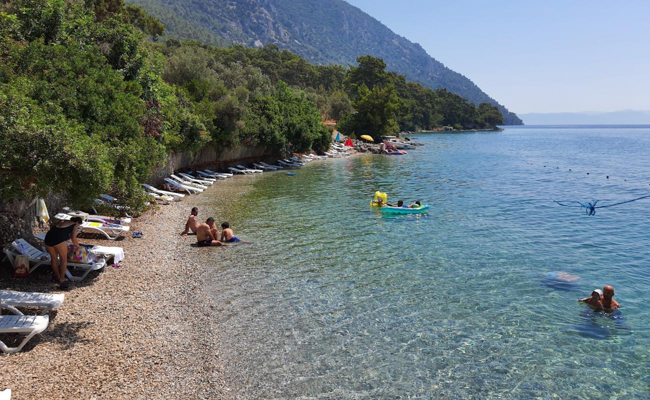 İste Bu beach'in fotoğrafı hafif çakıl yüzey ile