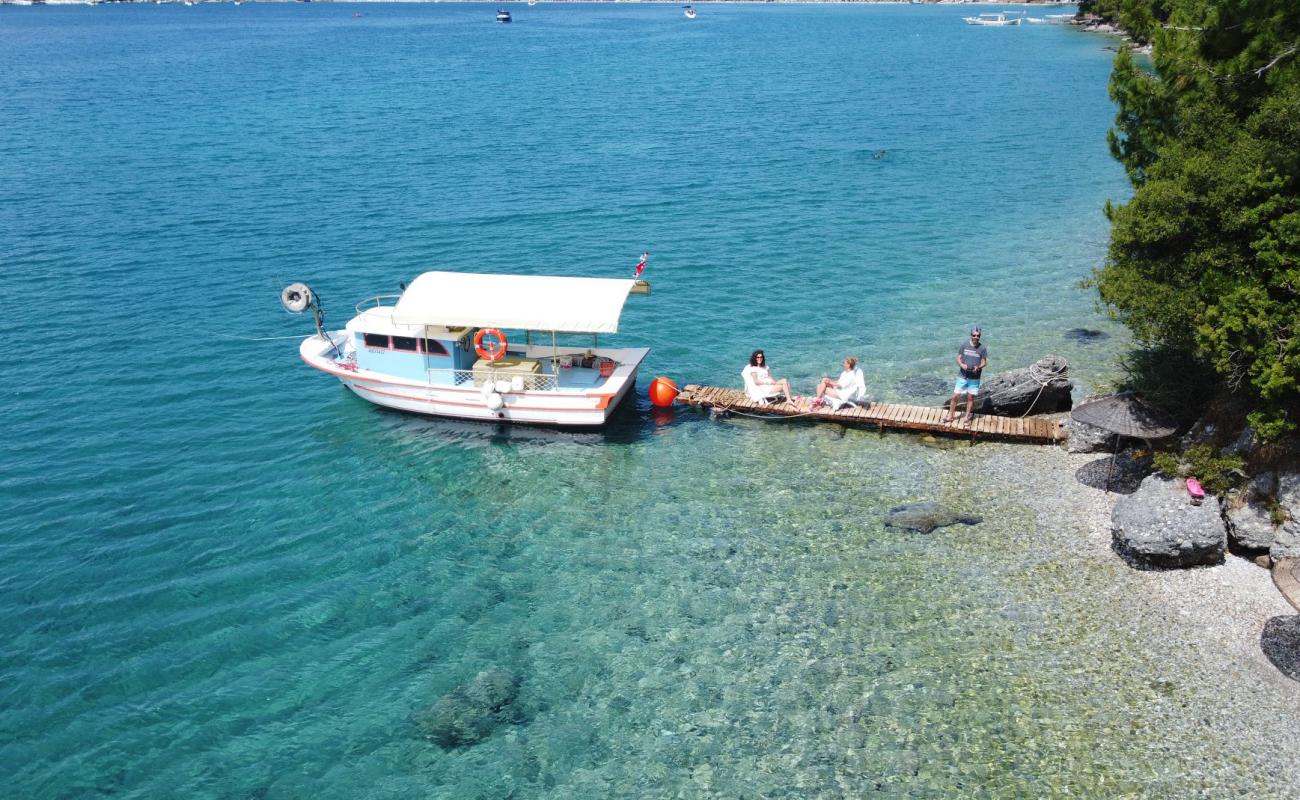 Daily beach'in fotoğrafı bej çakıl yüzey ile