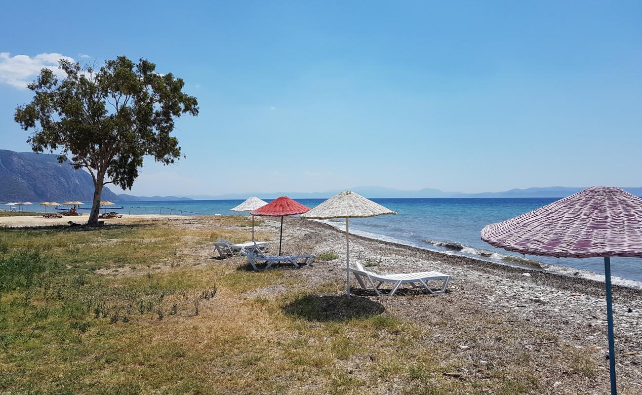 Kemerkoy II'in fotoğrafı bej çakıl yüzey ile