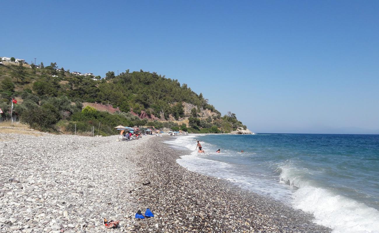 Bozalan beach II'in fotoğrafı hafif çakıl yüzey ile