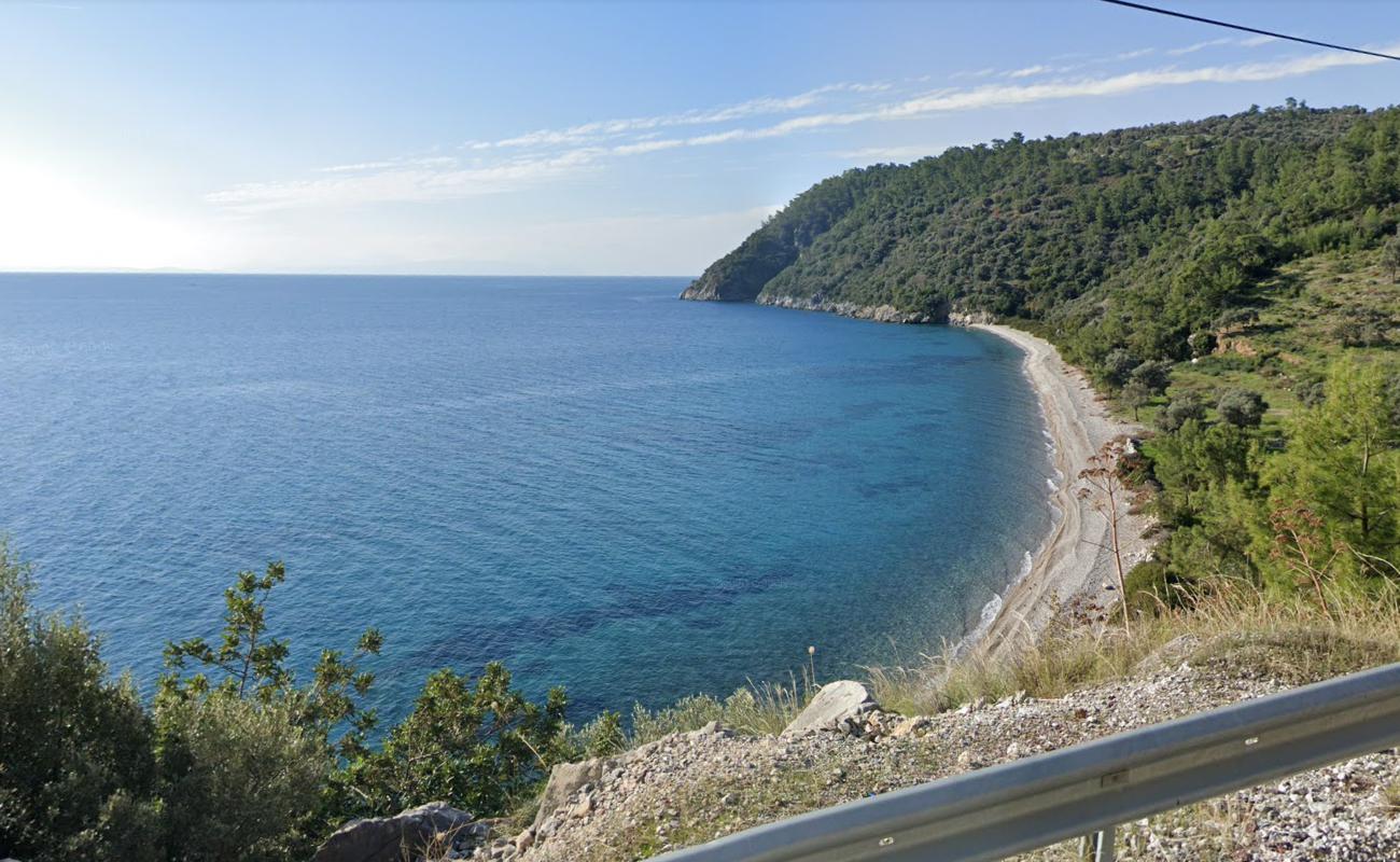 Kumcaz beach II'in fotoğrafı geniş ile birlikte