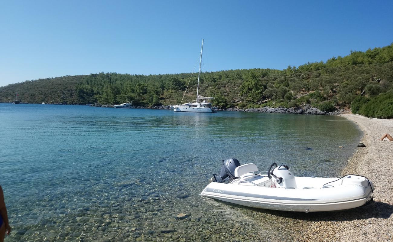 Cokertme beach II'in fotoğrafı hafif çakıl yüzey ile