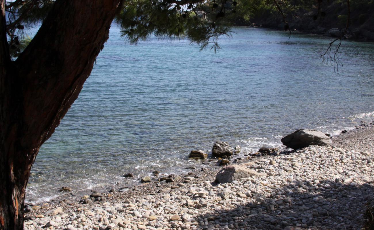 Mazikoy beach II'in fotoğrafı hafif çakıl yüzey ile