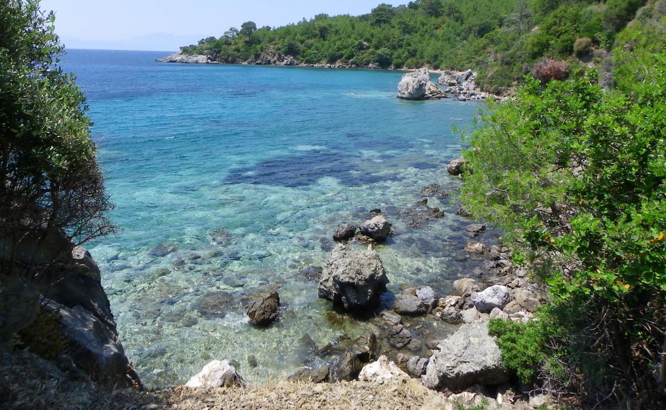 Ilgın beach V'in fotoğrafı hafif çakıl yüzey ile