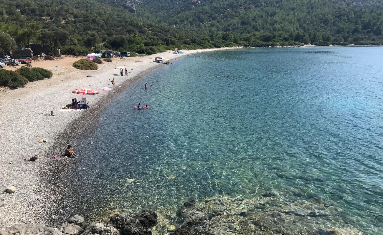 Kissebuku Bay'in fotoğrafı gri çakıl taşı yüzey ile