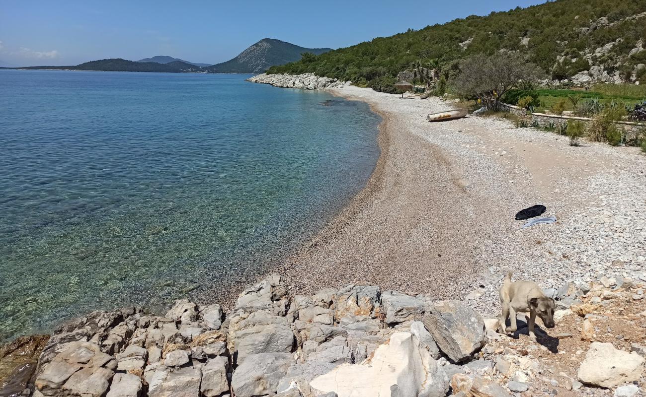 Dangir Bay'in fotoğrafı hafif çakıl yüzey ile