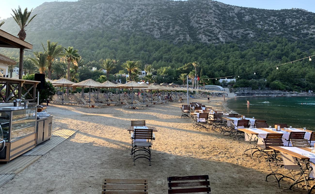 Hapimag beach'in fotoğrafı koyu i̇nce çakıl yüzey ile