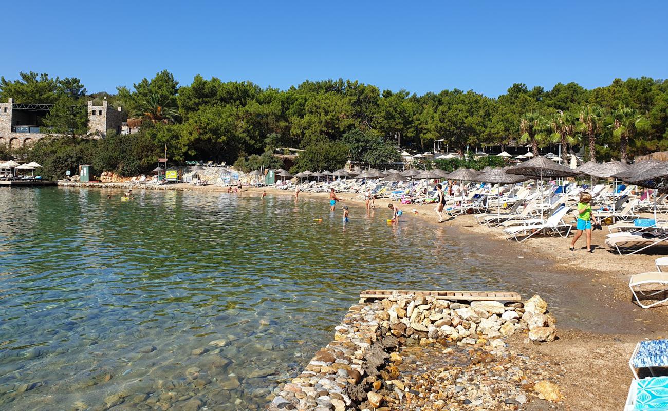 Bodrum Tatil Köyü Plajı'in fotoğrafı koyu i̇nce çakıl yüzey ile