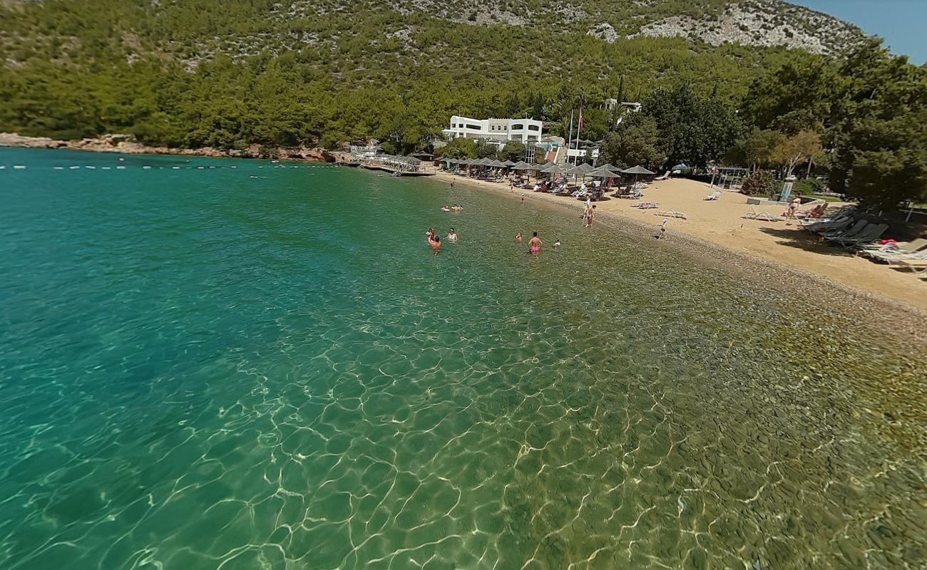 Çamlık Plajı III'in fotoğrafı turkuaz saf su yüzey ile