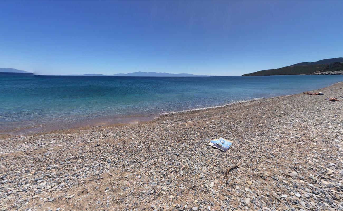 Yaliciftlik beach'in fotoğrafı çok temiz temizlik seviyesi ile