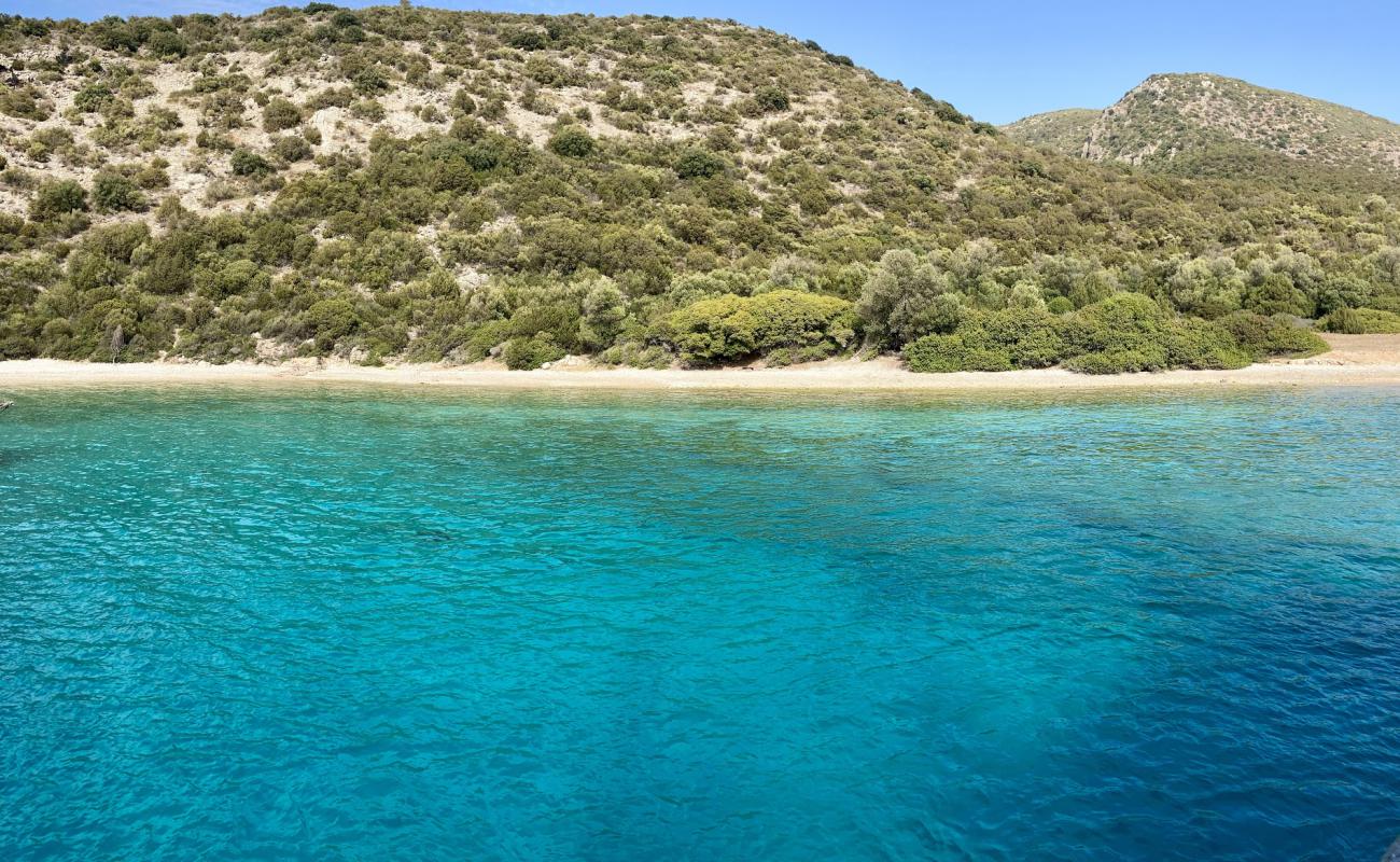 Rabbit Bay'in fotoğrafı hafif çakıl yüzey ile