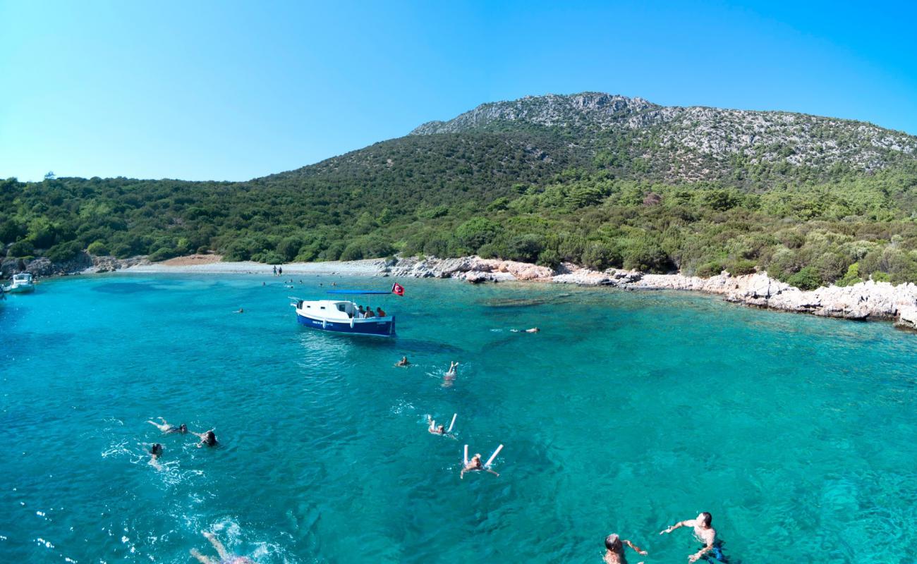 Aquarius Bay'in fotoğrafı hafif çakıl yüzey ile