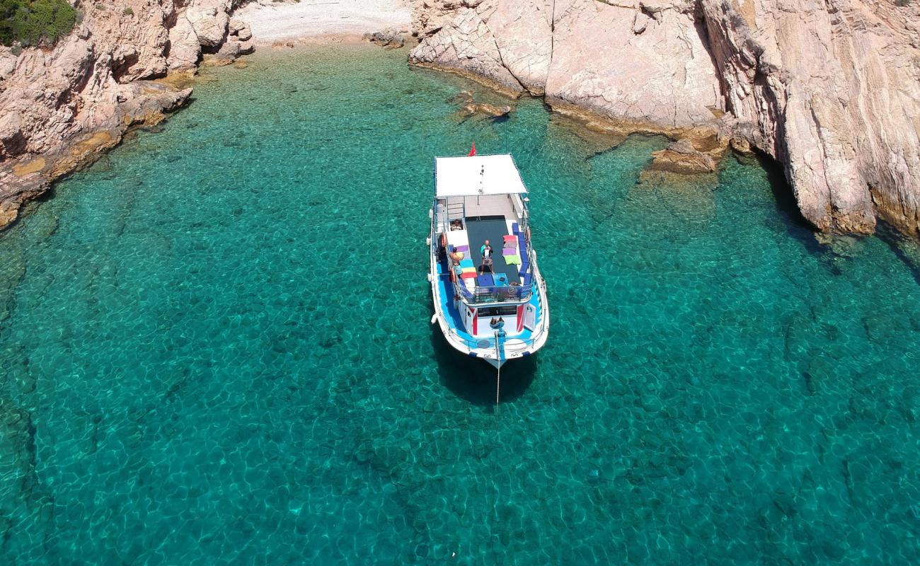 Pacoz Dive Site'in fotoğrafı hafif çakıl yüzey ile