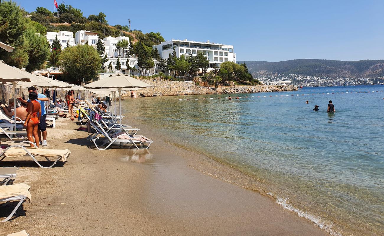 Bardakci Cove'in fotoğrafı parlak ince kum yüzey ile