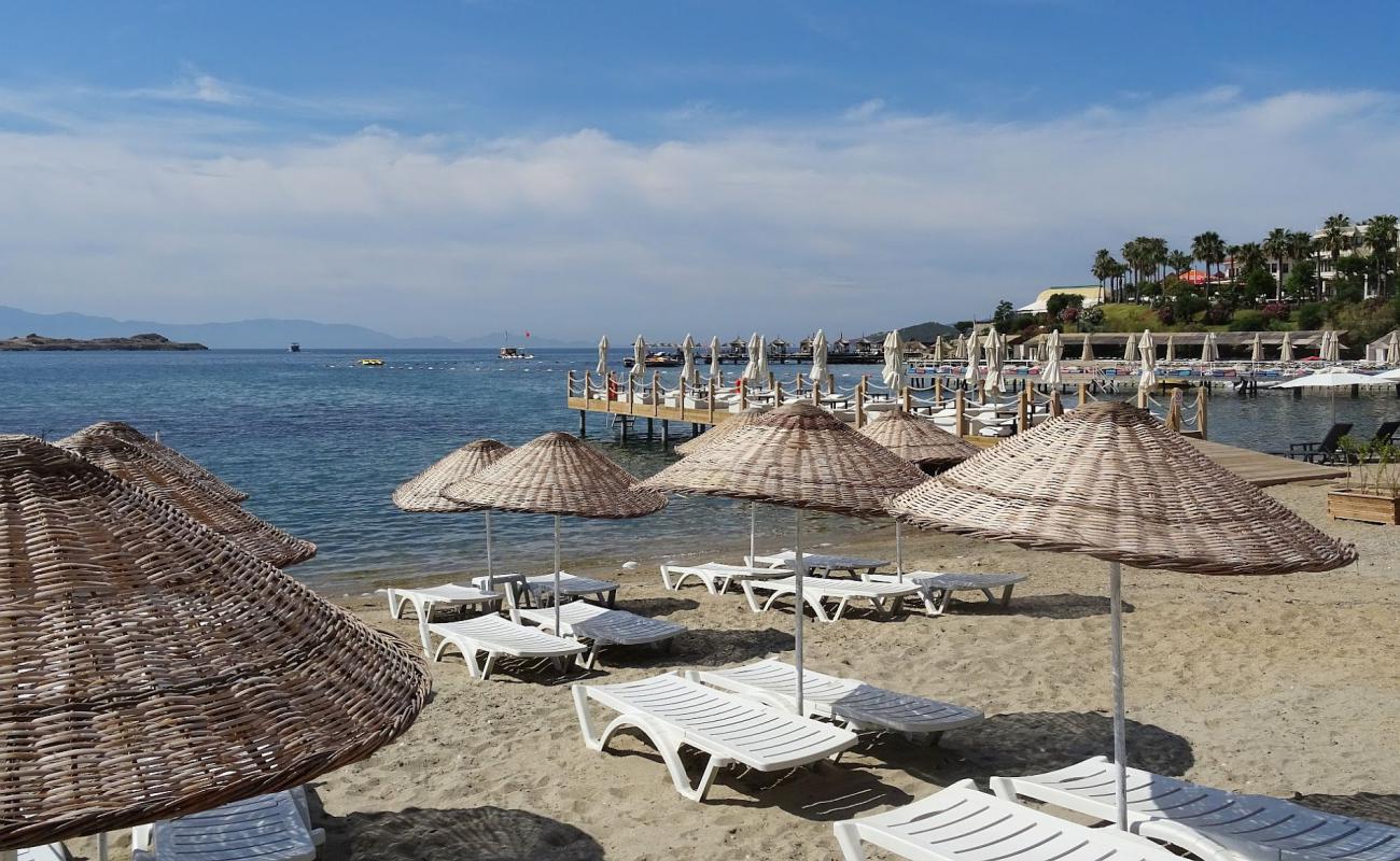 Platin Park Beach'in fotoğrafı parlak kum yüzey ile