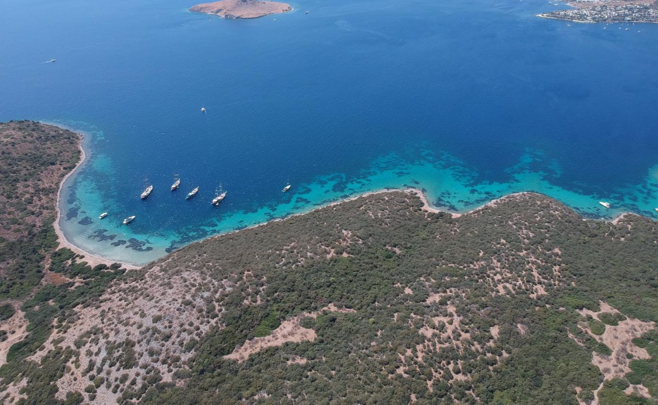 Akvaryum Bodrum'in fotoğrafı bej çakıl yüzey ile