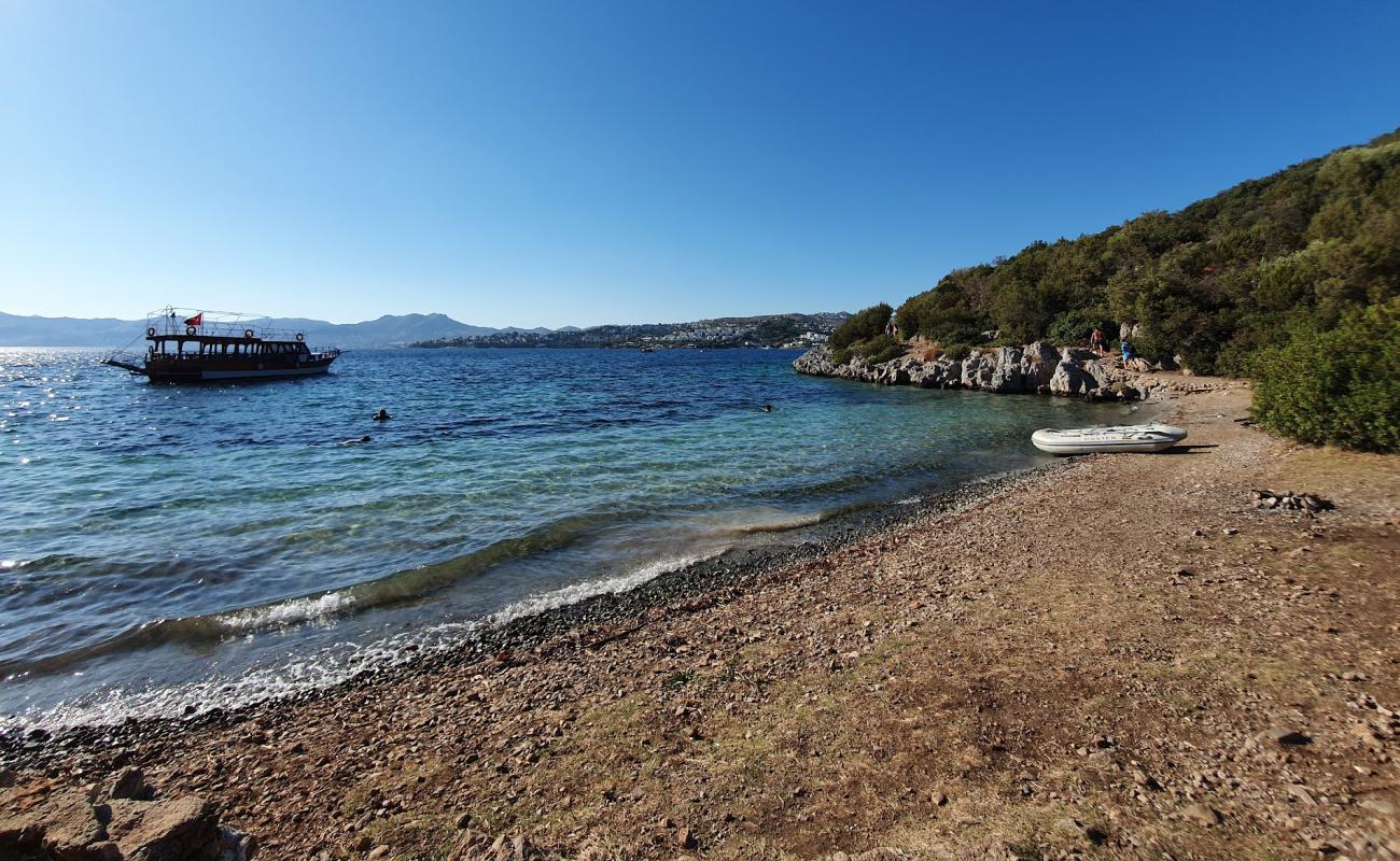 Akvaryum Koyu II'in fotoğrafı taşlar yüzey ile