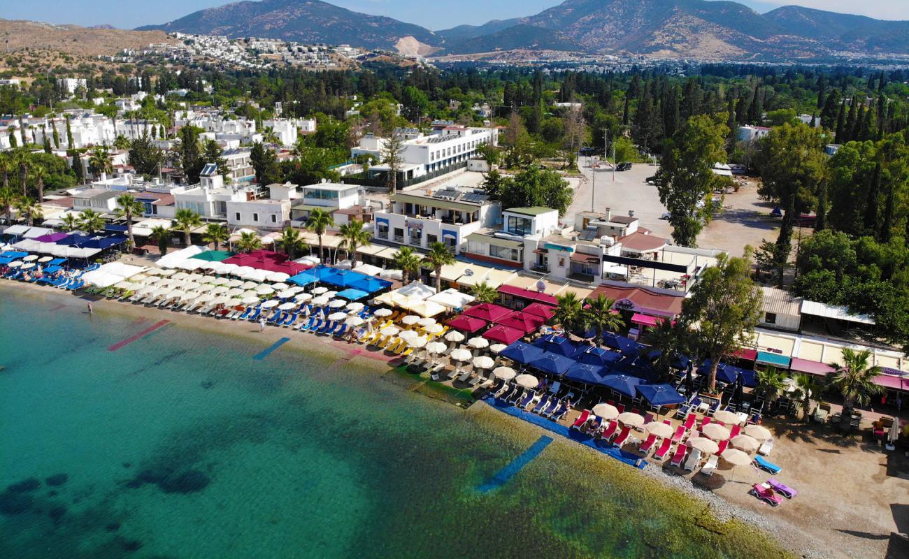 Ortakent Plajı'in fotoğrafı plaj tatil beldesi alanı