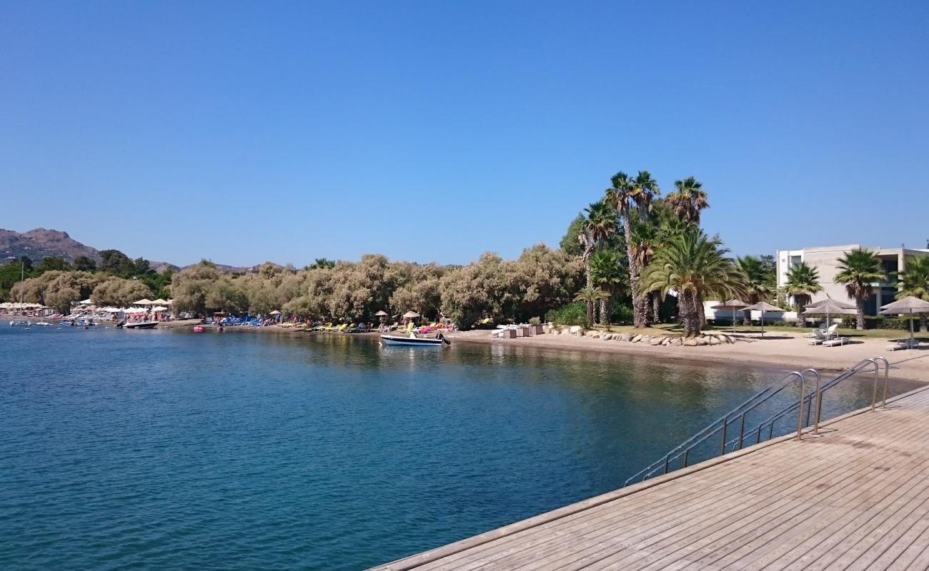 Dalga beach'in fotoğrafı kahverengi kum yüzey ile
