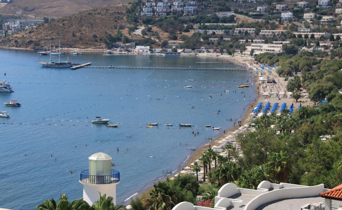 Camel beach'in fotoğrafı i̇nce bej kum yüzey ile