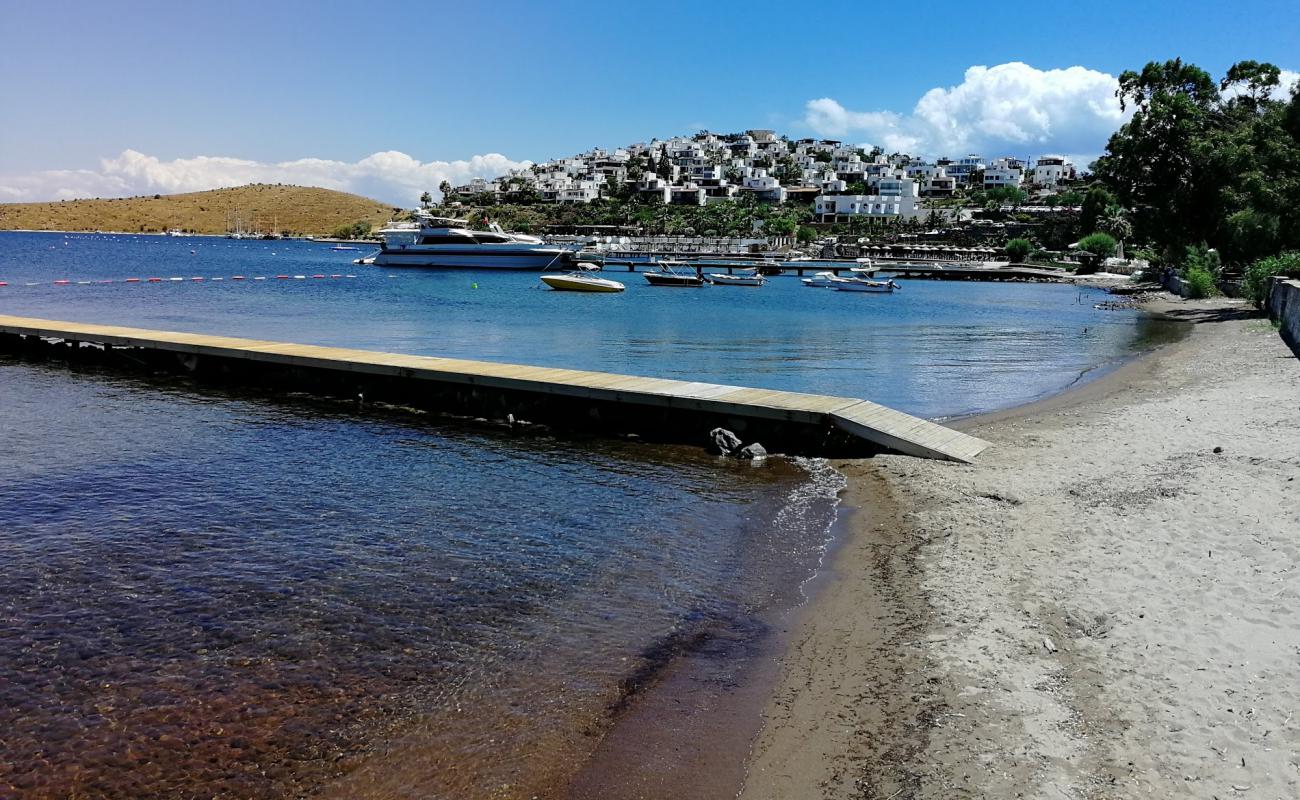 Camel beach II'in fotoğrafı açık bej kum yüzey ile