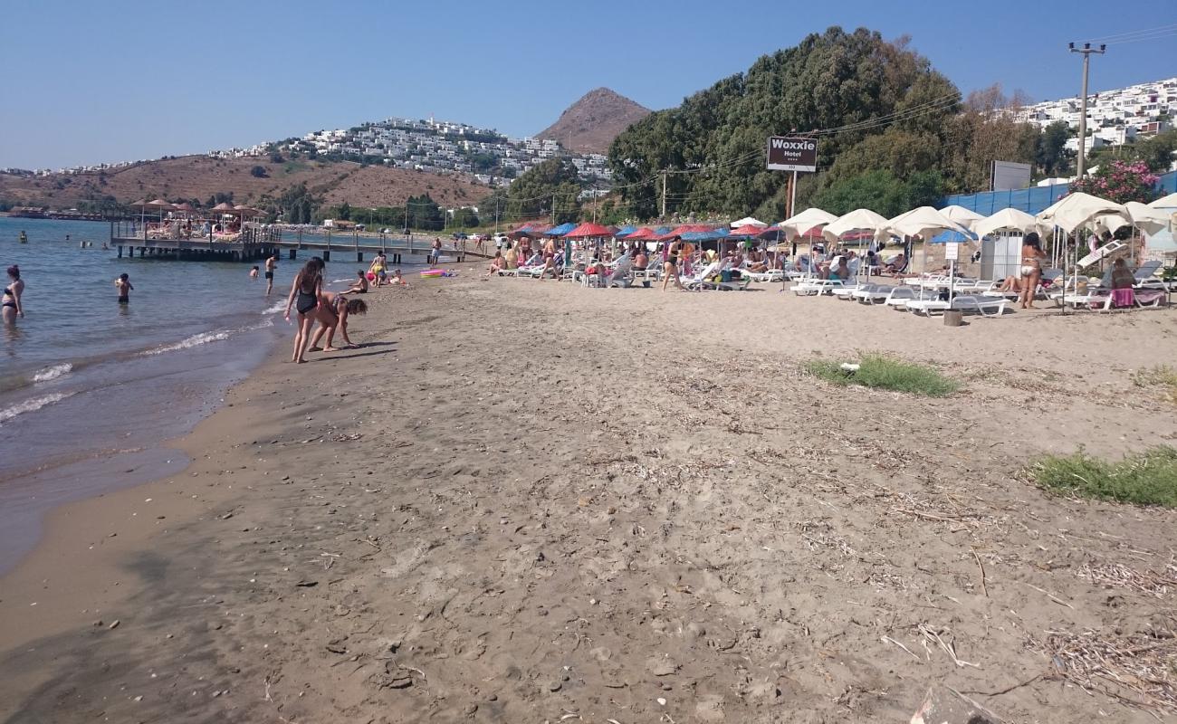 Karadag beach'in fotoğrafı kahverengi kum yüzey ile