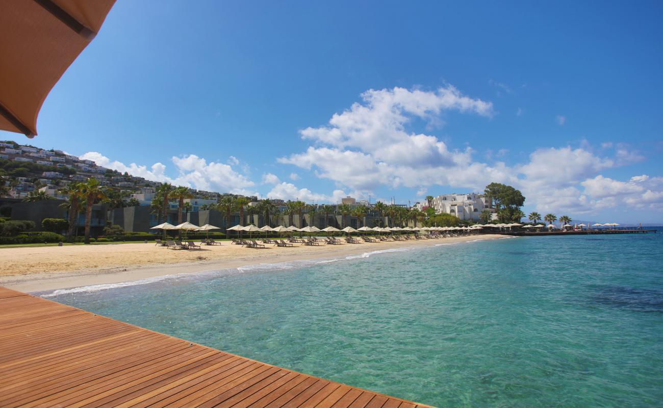 Swissotel Plajı'in fotoğrafı i̇nce bej kum yüzey ile