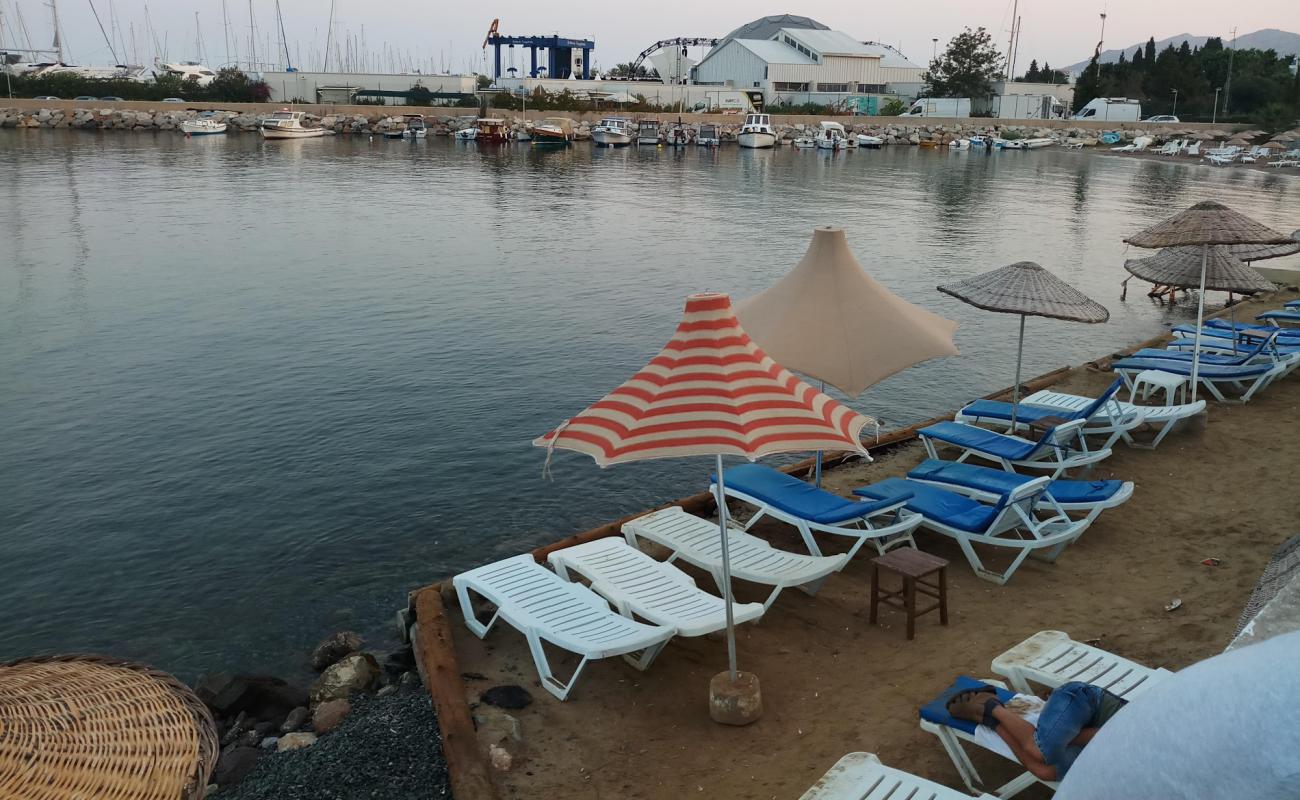 Turgutreis beach'in fotoğrafı kahverengi kum yüzey ile