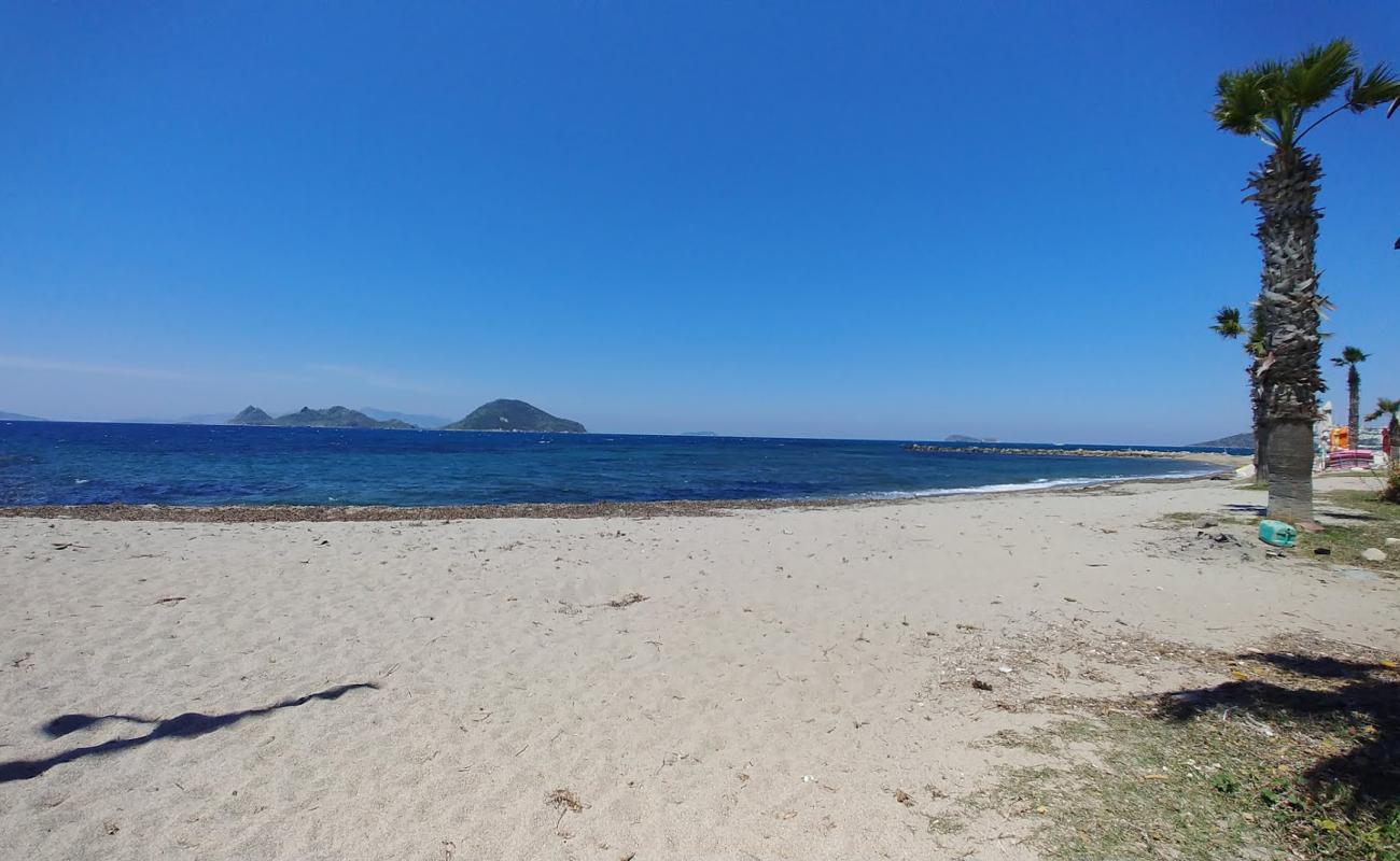 Ayvan beach'in fotoğrafı bej kum ve çakıl yüzey ile