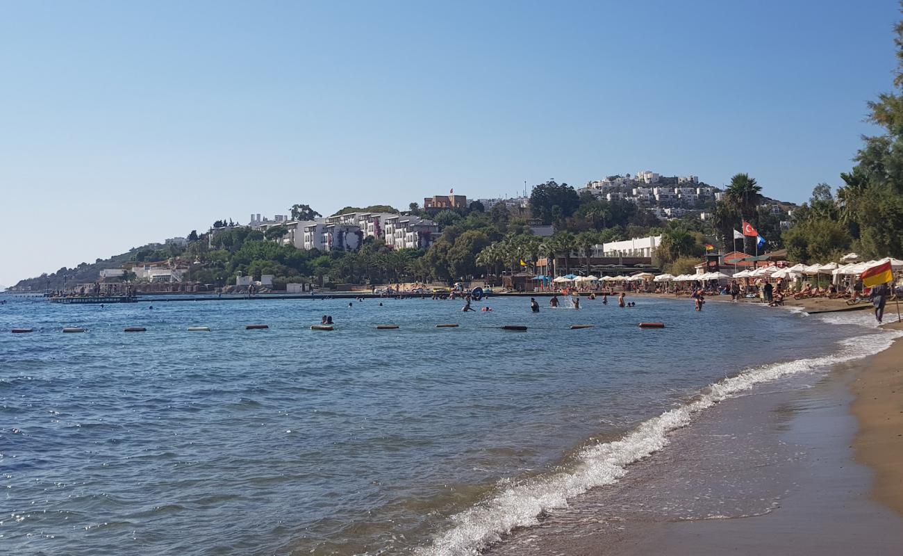 Kadıkalesi Plajı'in fotoğrafı kahverengi kum yüzey ile