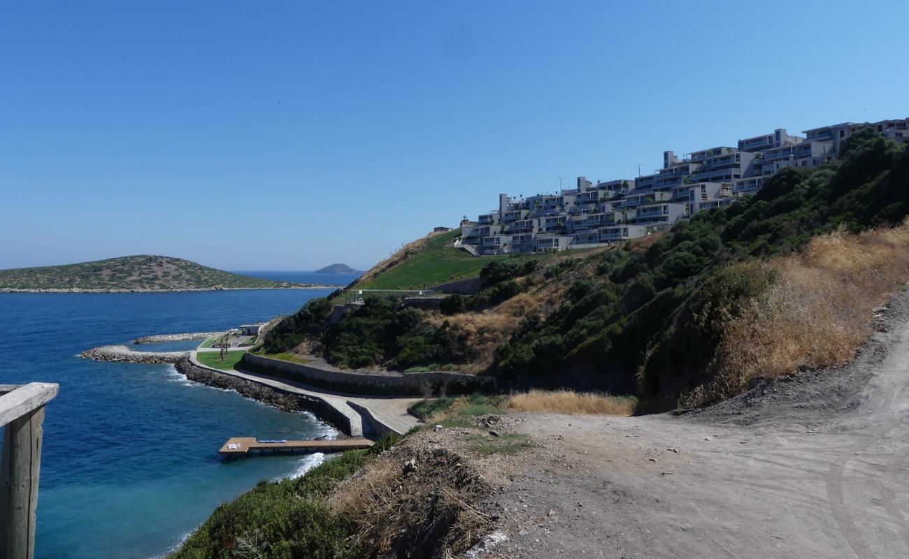 Vega beach'in fotoğrafı beton kaplı yüzey yüzey ile