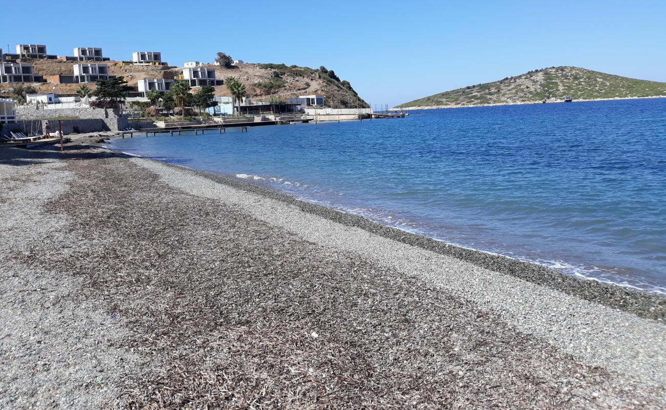 Peach Beach'in fotoğrafı küçük bej çakıl yüzey ile